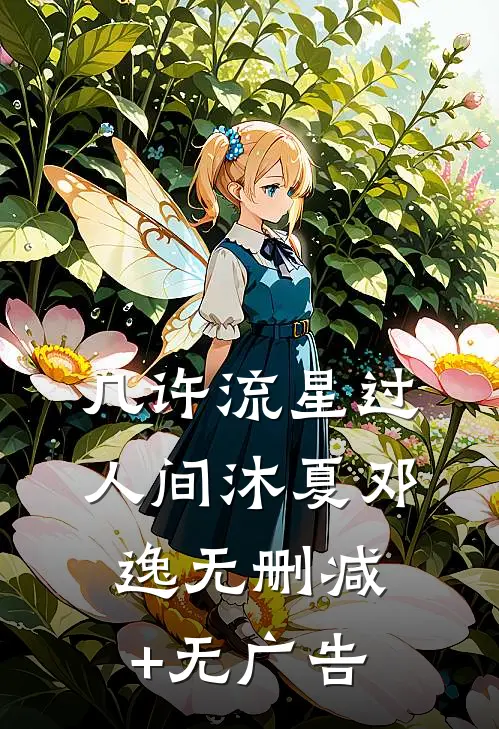 几许流星过人间沐夏邓逸无删减+无广告