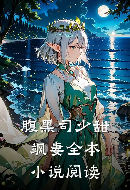 腹黑司少甜飒妻全本小说阅读