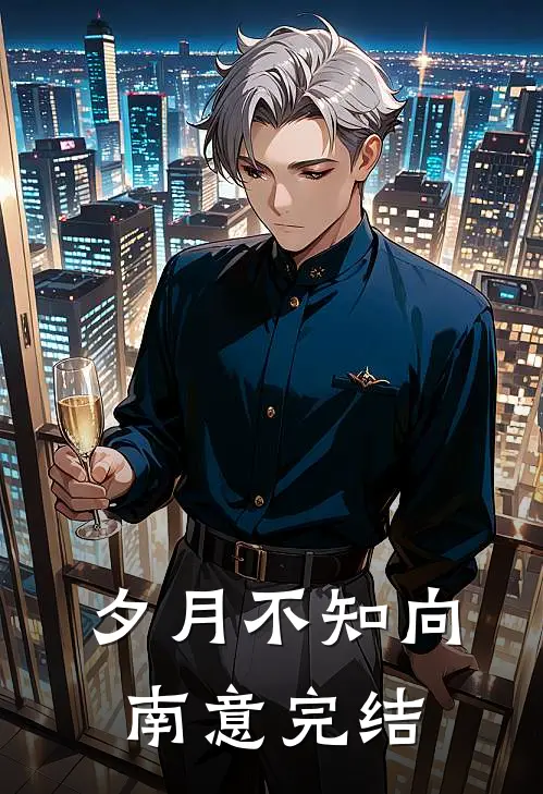 夕月不知向南意完结