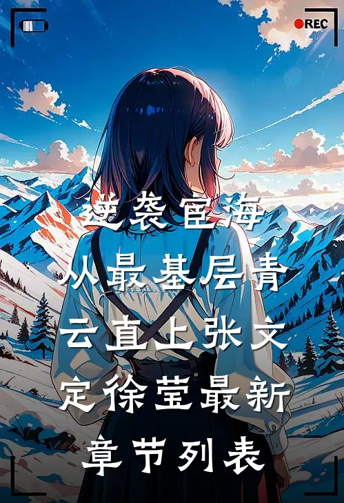 逆袭宦海：从最基层青云直上张文定徐莹最新章节列表