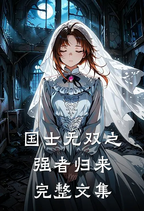 国士无双之强者归来完整文集