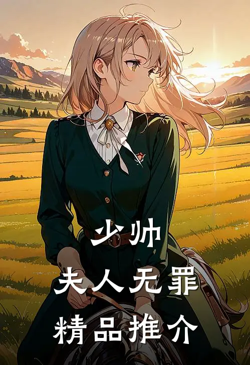 少帅，夫人无罪精品推介