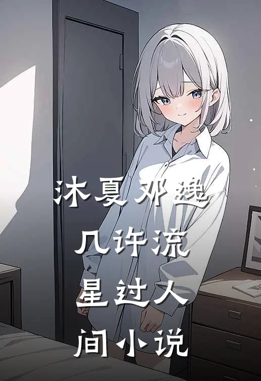 沐夏邓逸几许流星过人间小说