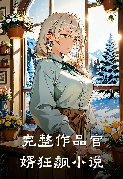 完整作品官婿狂飙小说