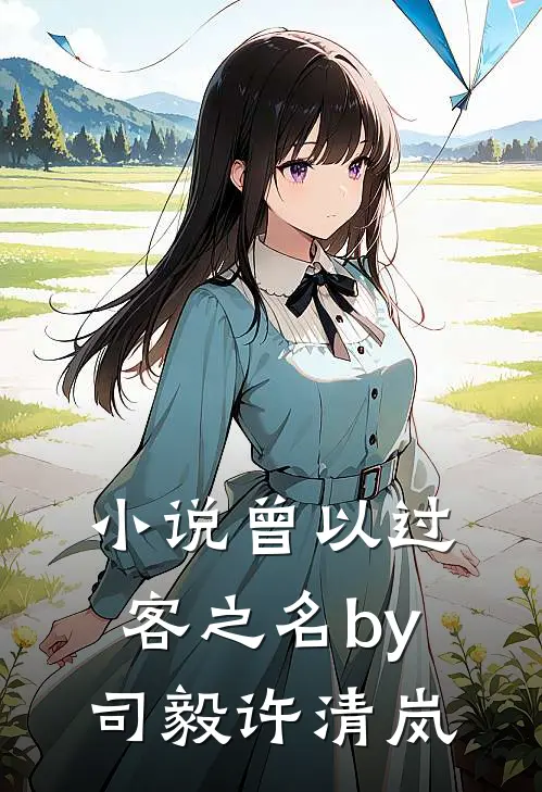 小说曾以过客之名by司毅许清岚