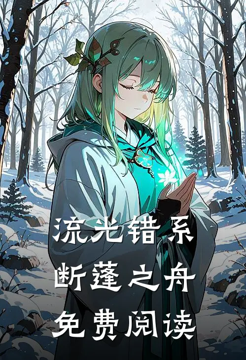流光错系断蓬之舟免费阅读