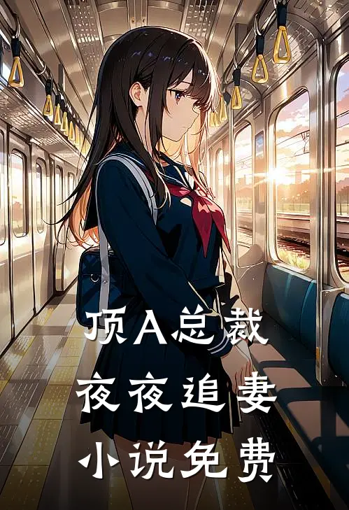 顶A总裁夜夜追妻小说免费