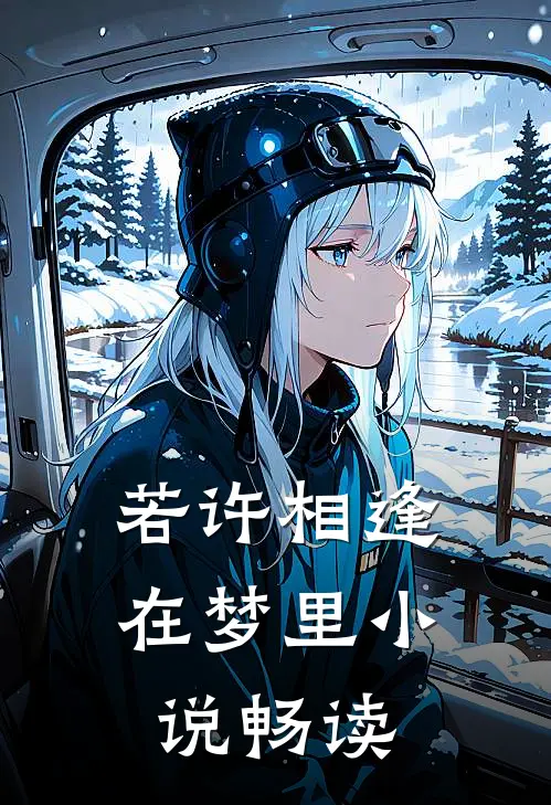 若许相逢在梦里小说畅读