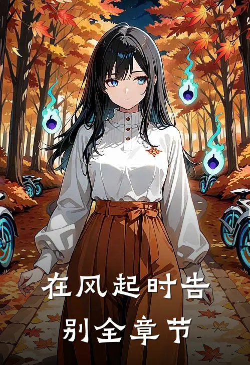 在风起时告别全章节