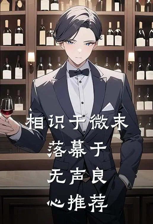 相识于微末，落幕于无声良心推荐