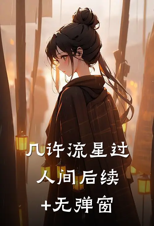 几许流星过人间后续+无弹窗