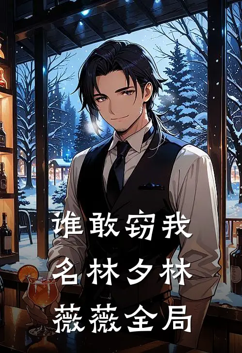 谁敢窃我名林夕林薇薇全局