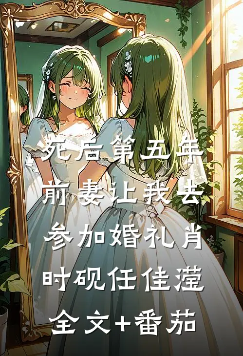 死后第五年，前妻让我去参加婚礼肖时砚任佳滢全文+番茄