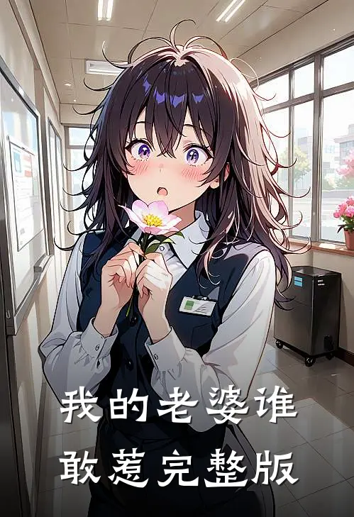 我的老婆谁敢惹完整版