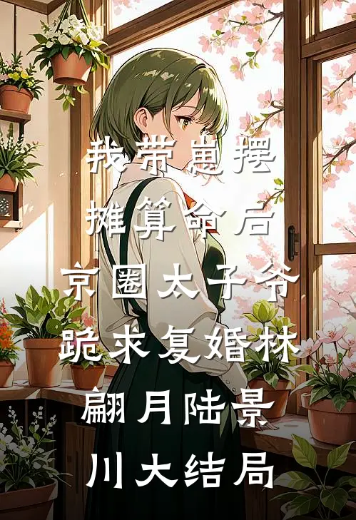 我带崽摆摊算命后，京圈太子爷跪求复婚林翩月陆景川大结局