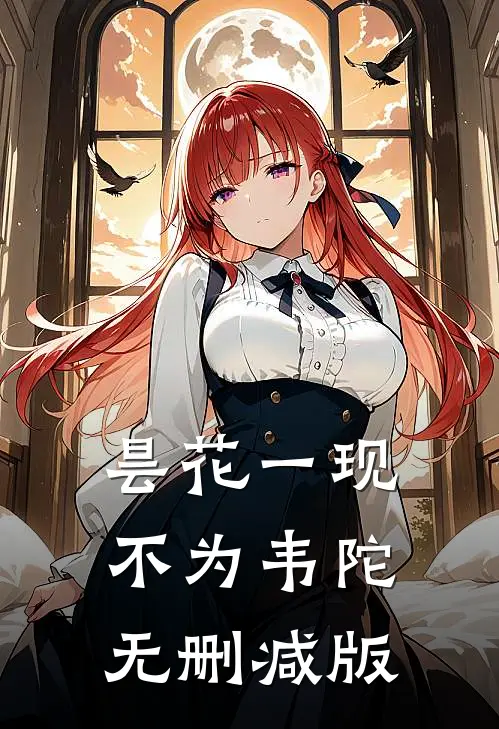 昙花一现不为韦陀无删减版