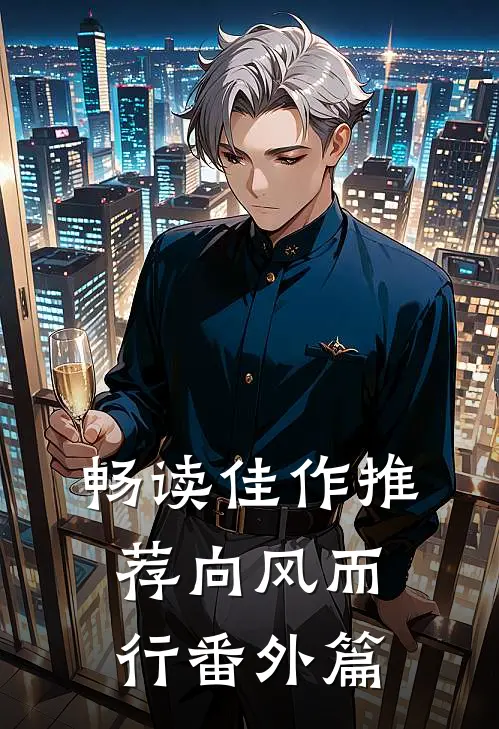 畅读佳作推荐向风而行番外篇