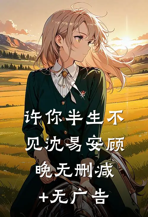 许你半生不见沈易安顾晚无删减+无广告