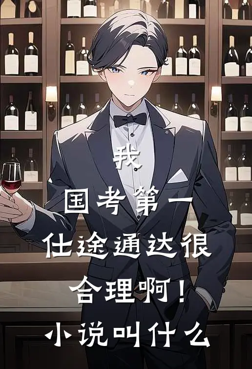 我，国考第一，仕途通达很合理啊！小说叫什么