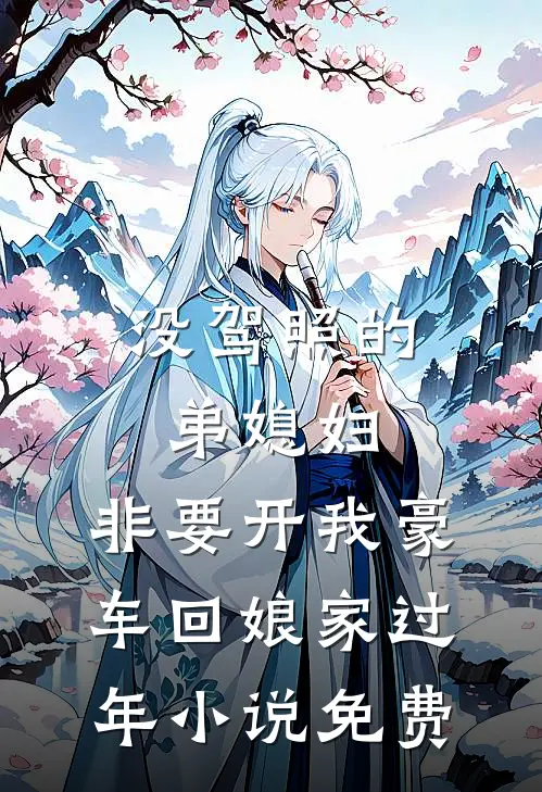 没驾照的弟媳妇，非要开我豪车回娘家过年小说免费