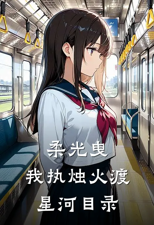 柔光曳，我执烛火渡星河目录
