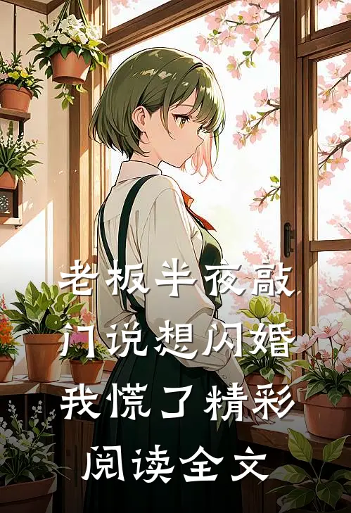 老板半夜敲门说想闪婚，我慌了精彩阅读全文