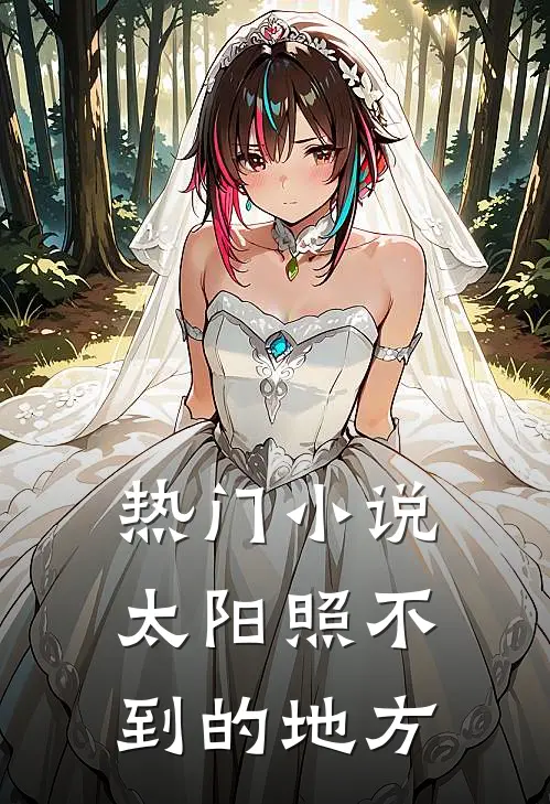 热门小说太阳照不到的地方