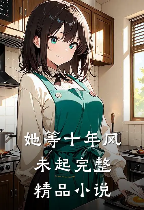 她等十年风未起完整精品小说