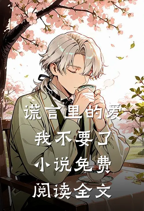 谎言里的爱，我不要了小说免费阅读全文