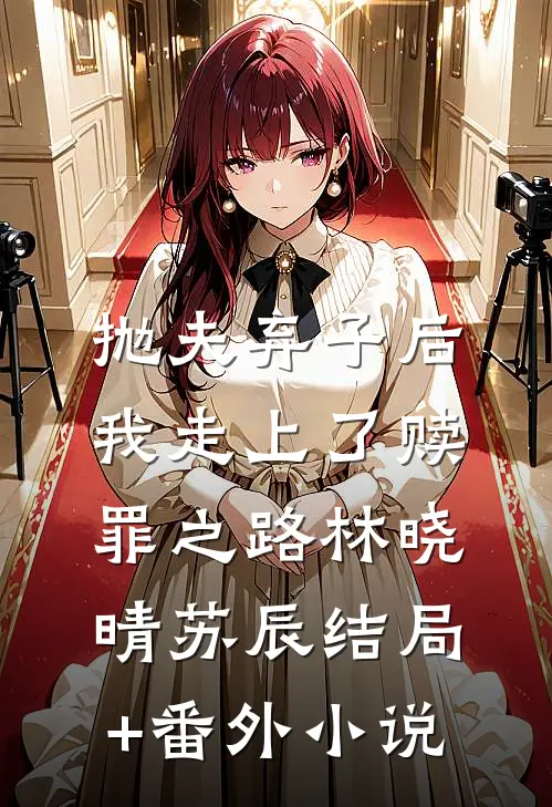抛夫弃子后，我走上了赎罪之路林晓晴苏辰结局+番外小说
