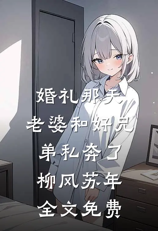 婚礼那天，老婆和好兄弟私奔了柳风苏年全文免费