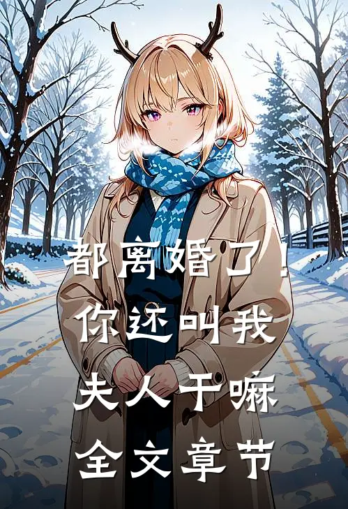 都离婚了！你还叫我夫人干嘛全文章节