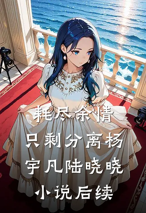 耗尽余情，只剩分离杨宇凡陆晓晓小说后续