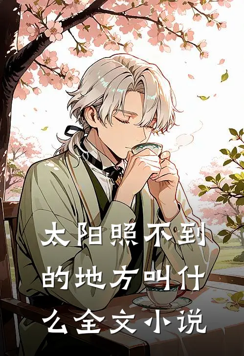 太阳照不到的地方叫什么全文小说