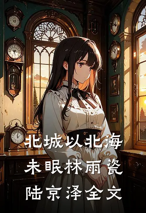 北城以北海未眠林雨瓷陆京泽全文