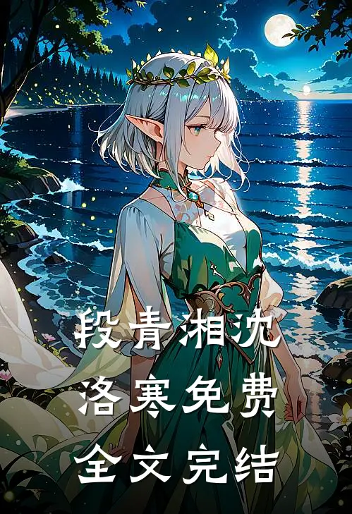 段青湘沈洛寒免费全文完结