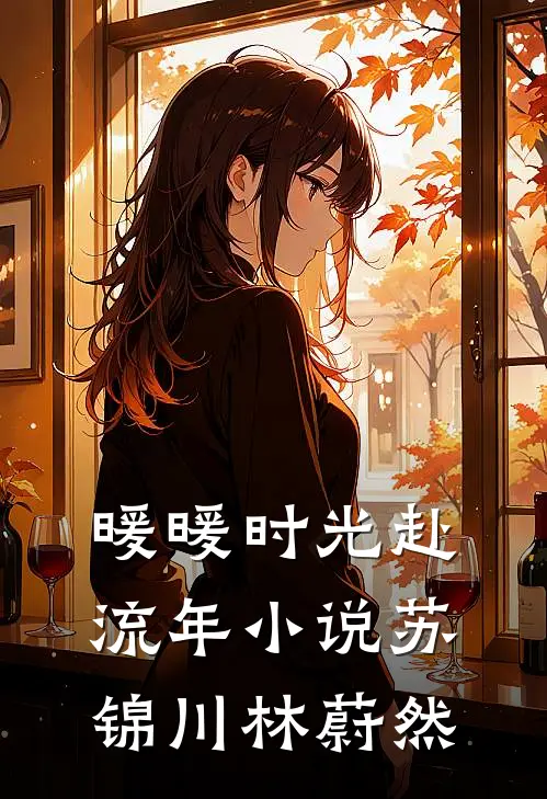 暖暖时光赴流年小说苏锦川林蔚然