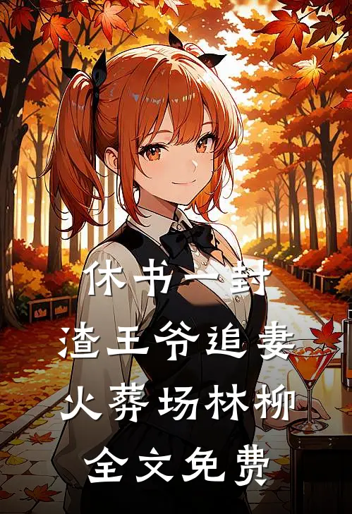 休书一封：渣王爷追妻火葬场林柳全文免费
