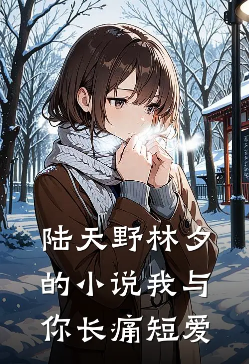 陆天野林夕的小说我与你长痛短爱