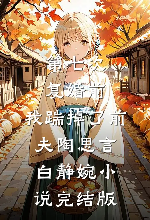 第七次复婚前，我踹掉了前夫陶思言白静婉小说完结版