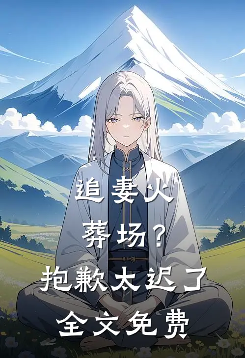 追妻火葬场？抱歉，太迟了全文免费