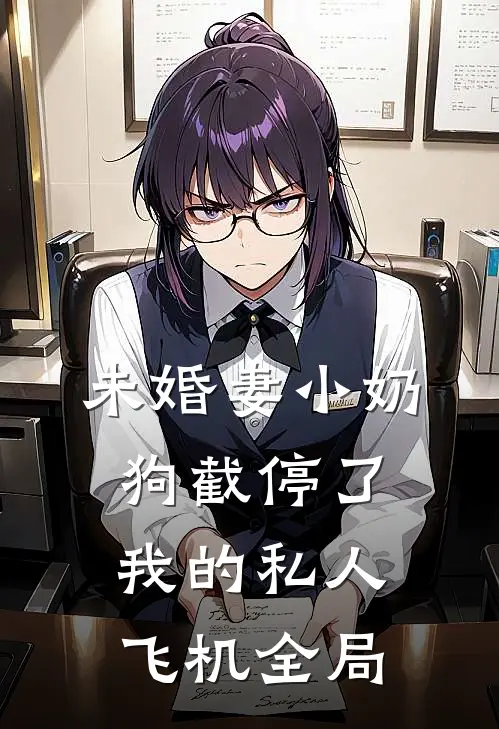 未婚妻小奶狗截停了我的私人飞机全局