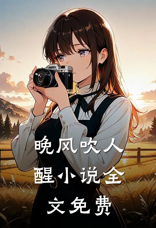 晚风吹人醒小说全文免费