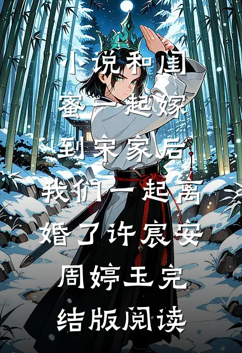 小说和闺蜜一起嫁到宋家后，我们一起离婚了许宸安周婷玉完结版阅读
