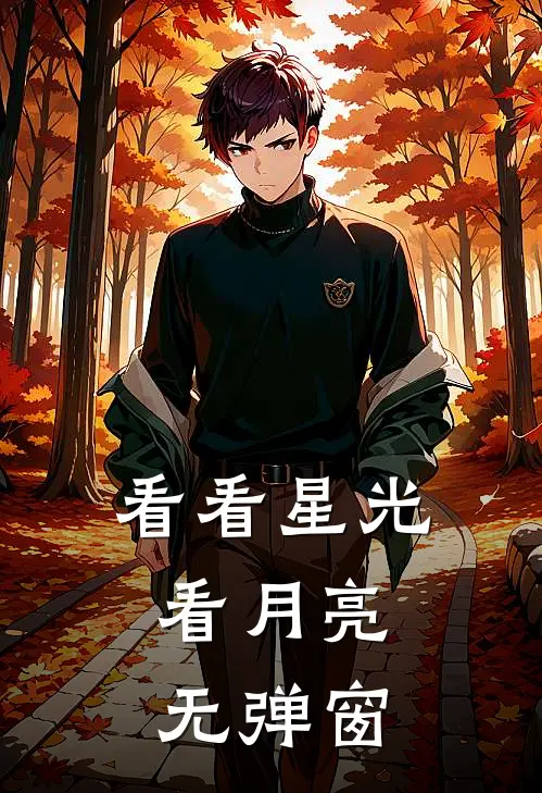 看看星光，看月亮无弹窗