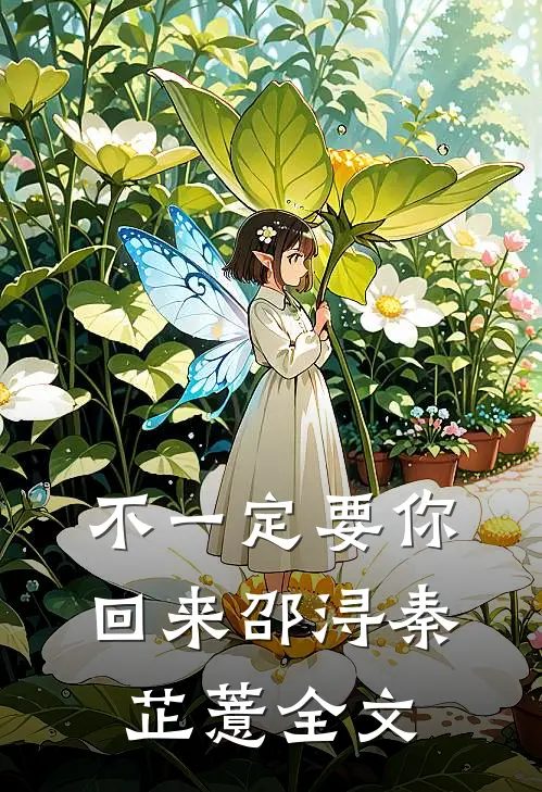 不一定要你回来邵浔秦芷薏全文