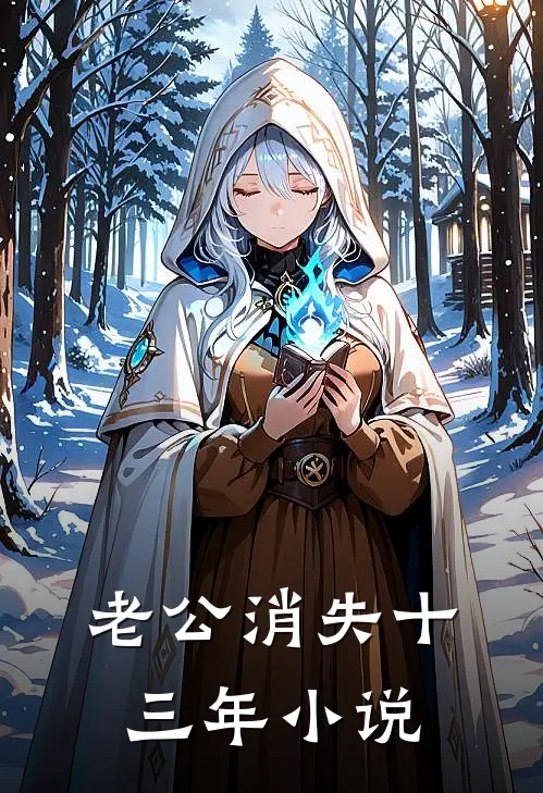 老公消失十三年小说
