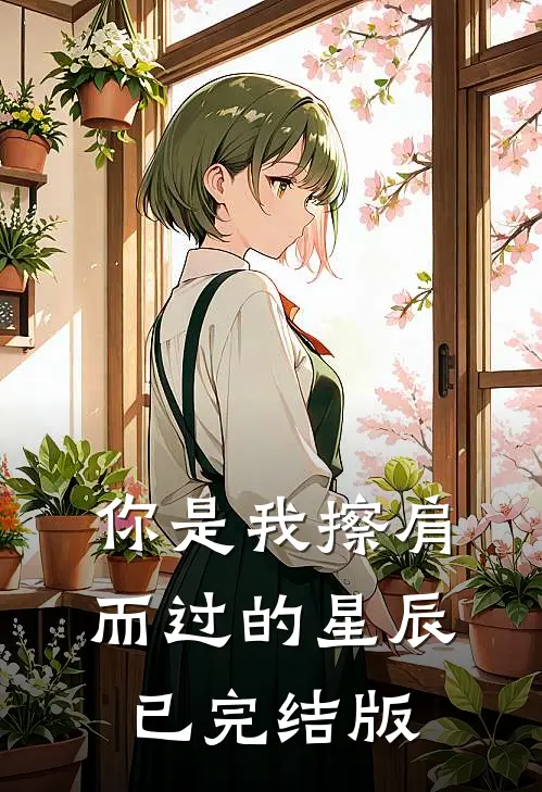 你是我擦肩而过的星辰已完结版