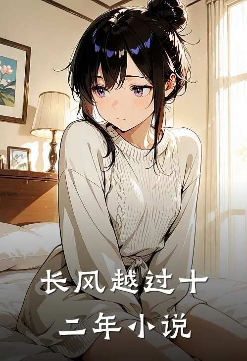 长风越过十二年小说