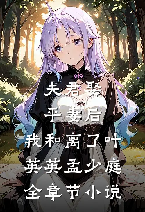 夫君娶平妻后，我和离了叶英英孟少庭全章节小说